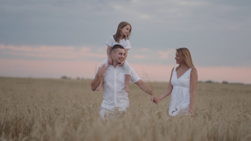 expert wills service north brisbane nundah